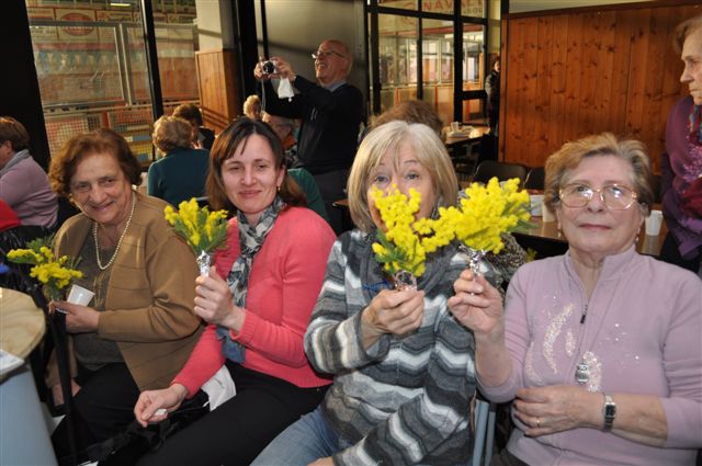 La mimosa simbolo della festa della donna