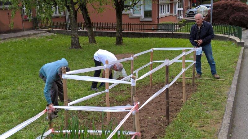 Il recinto dove è stato seminato il mais