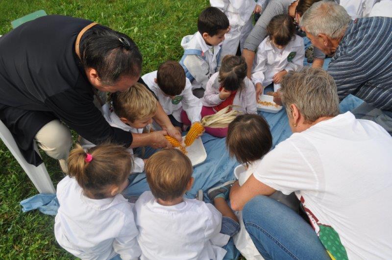 Nonni e bambini insieme a sgranare il granoturco